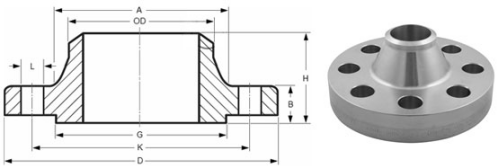 Welding Neck (WN)