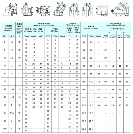 Forged Pipe Fittings