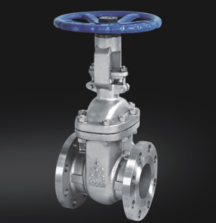 Globe Valve