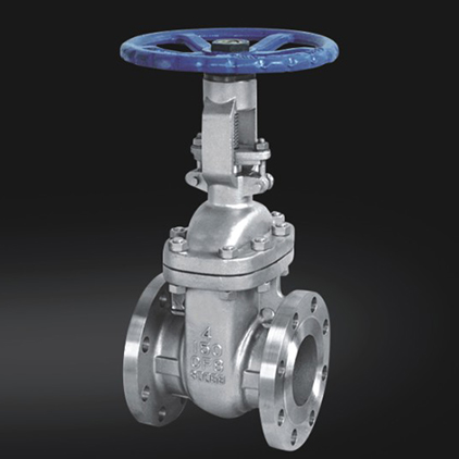 Globe Valve